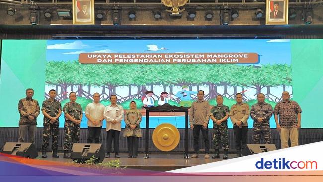 BRGM &amp; Dinas Pendidikan Luncurkan Kurikulum Mangrove untuk Tingkat SMA