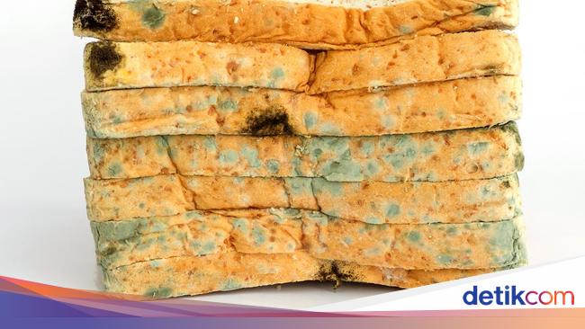 Tak Sengaja Makan Roti Berjamur? Ini Reaksi yang Terjadi pada Tubuh