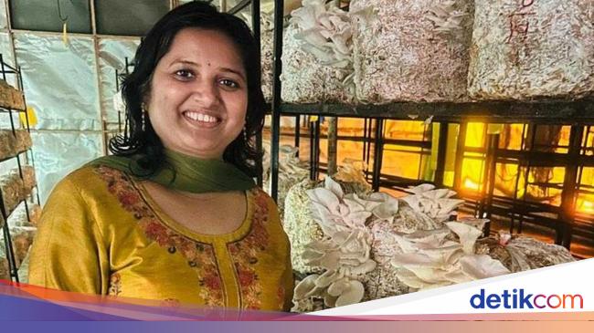 Berkat Kegigihan, 5 Petani Ini Sukses Raih Omzet Miliaran Rupiah