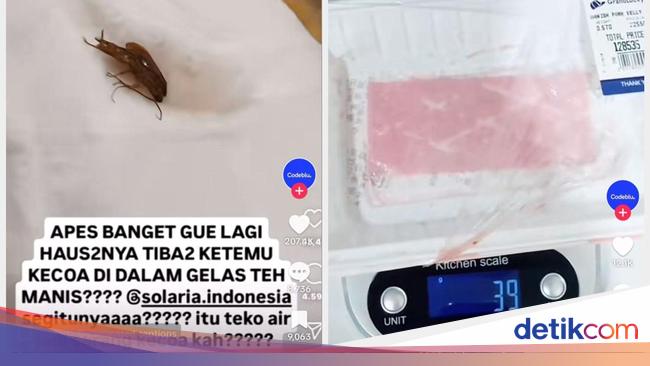 5 Kontroversi Temuan Codeblu, Kecoak di Resto hingga Tipuan Timbangan Supermarket