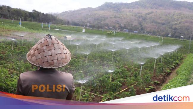 Inovasi Aipda Anto Pakai Google Assistant untuk Bertani di Bantul