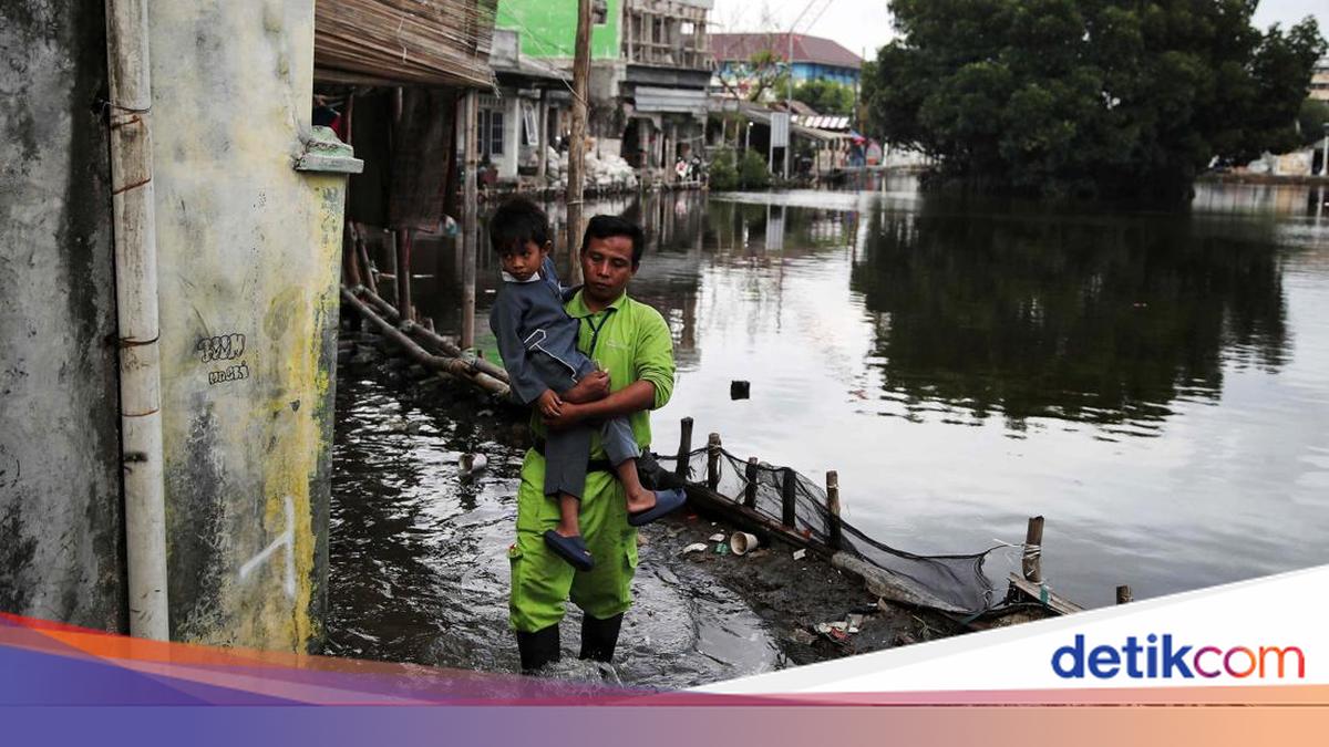 Fenomena Perigee-Bulan Baru Picu Potensi Banjir Rob di 18 Daerah, BMKG Waspada