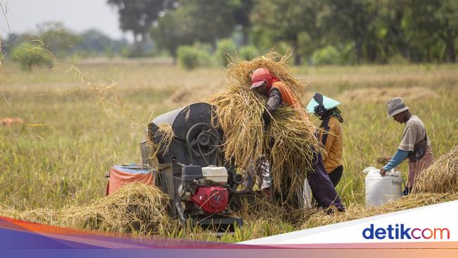 Tren Pertanian di Jogja dan Pengaruhnya pada Dunia Kerja