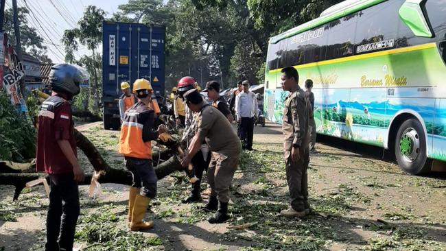 Pohon Tumbang Timpa Truk di Jonggol, Jalan Transyogi Sempat Macet