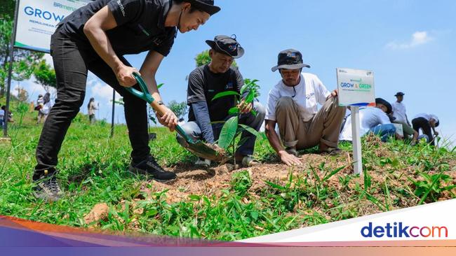 BRI Hadirkan BRI Menanam-Grow &amp; Green, Bantu Petani Pulihkan Lahan Kritis