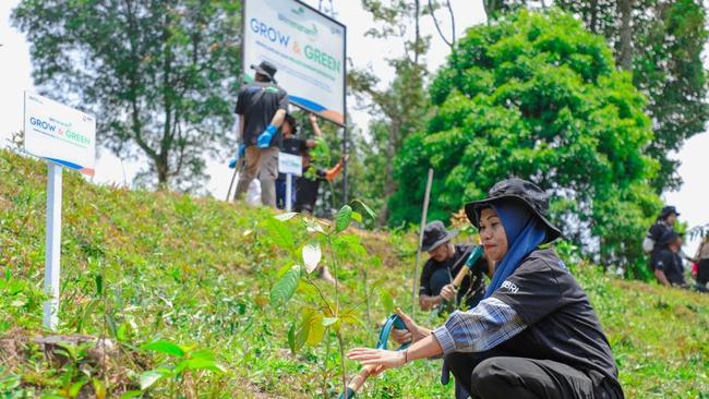 Gaet Kelompok Tani, BRI Menanam-Grow  Green Pulihkan Hutan Bekas Tambang