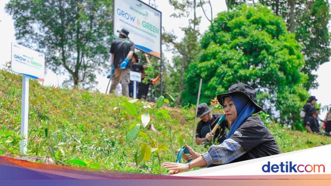 Gaet Kelompok Tani, BRI Menanam-Grow &amp; Green Pulihkan Hutan Bekas Tambang