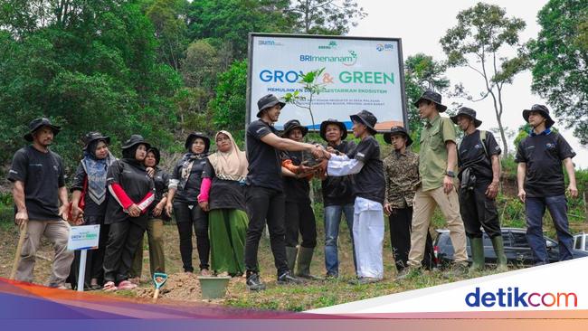 BRI dan BakauMU Ajak KTH Pabangbon Pulihkan Ekosistem Alam