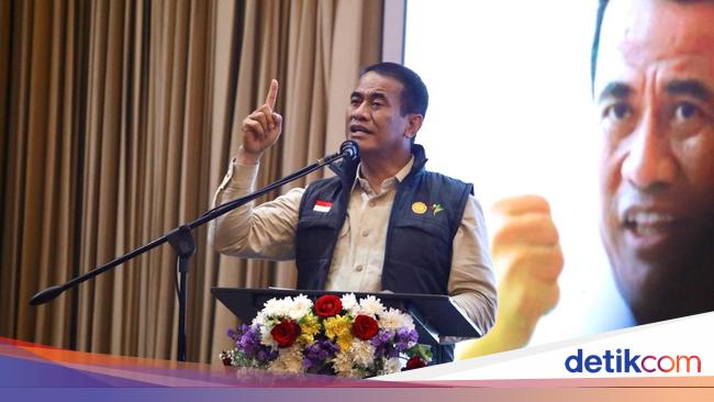 Wujudkan Swasembada Pangan, Mentan Siapkan Mentor buat Petani Milenial