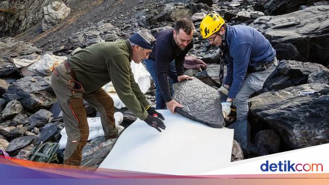 Pendaki Gunung Tak Sengaja Temukan Dunia yang Hilang Berusia 280 Juta Tahun