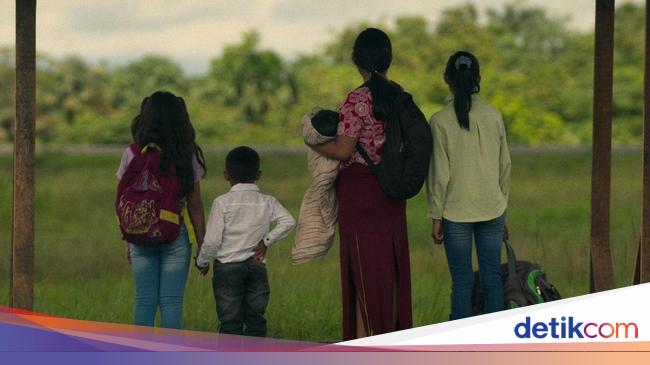 Kisah 4 Bocah Bertahan 40 Hari di Hutan Amazon Setelah Pesawat Jatuh