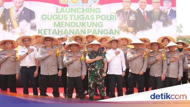 Dukung Ketahanan Pangan, Polda Metro Tanam Sayur di Lahan 15 Ha Cigombong