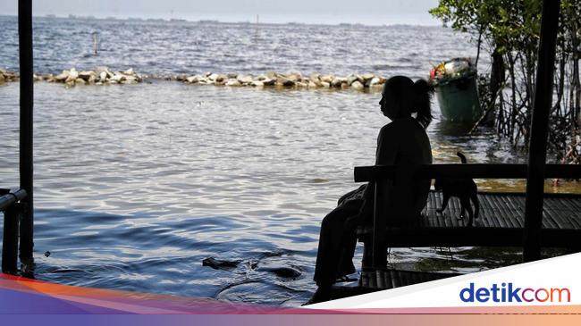 Pemprov DKI Siapkan Bendung Karet Antisipasi Banjir Rob Akibat Worm Moon