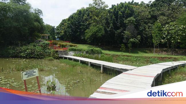 Intip Keindahan Tersembunyi di Kebun Raya Cibinong