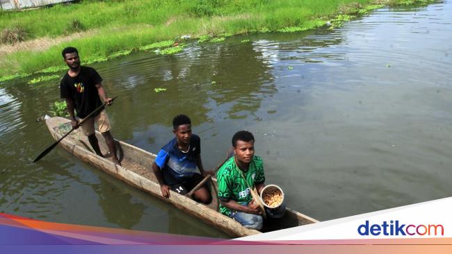 Festival Ulat Sagu Jadi Eko Wisata di Sentani