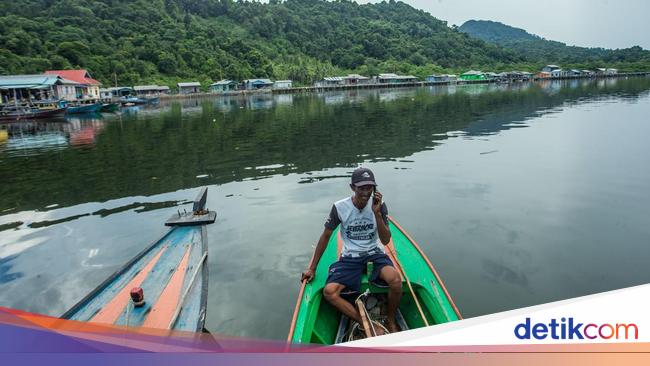 Internet Lancar, Nelayan Tangkap Sotong Makin Gencar