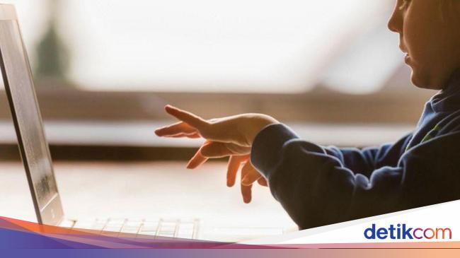 Mozart Bidang Pemrograman, Kisah Bocah Ditawari Jadi Direktur Perusahaan IT