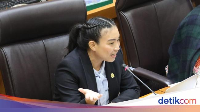 Sara Gerindra Heran PDIP Kini Tolak PPN 12% Padahal Ketua Panja