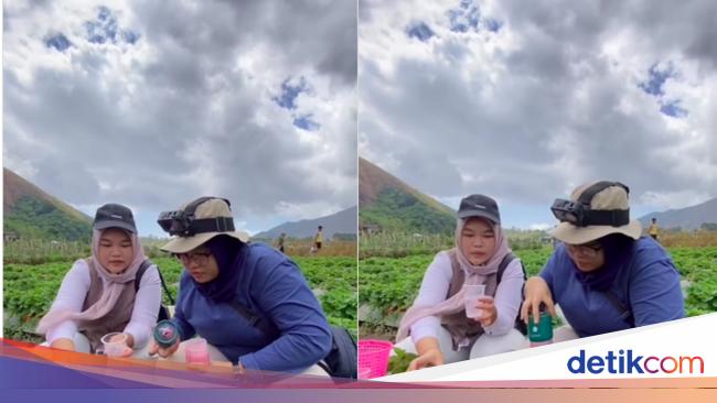 Ngakak! Wanita Ini Bawa Blender untuk Bikin Jus saat Wisata Petik Stroberi