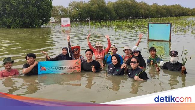 Komitmen PT GNI Dukung Keberlanjutan Lewat Penanaman Mangrove