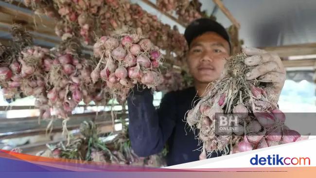 Kisah Sukses jadi Petani Bawang Merah hingga Restoran Chinese Food Ikonik di Jakbar