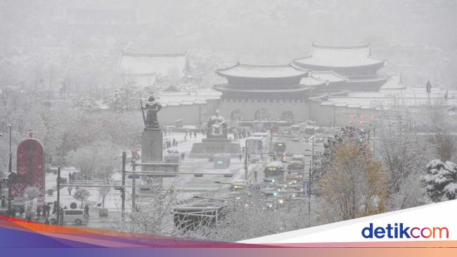 South Korea mourns amid raging snowstorm