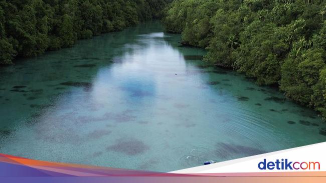 Pesona Wisata Alam Kehe Daing di Pulau Maratua