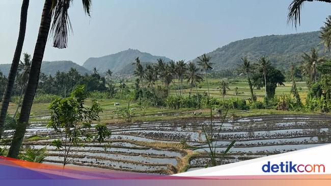 Momen Kiper Timnas Maarten Paes dan Luna Bijl Liburan di Bali