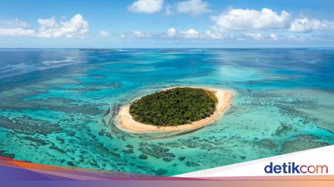 9 Tips Bertahan Hidup saat Terdampar di Pulau Tak Berpenghuni