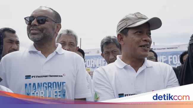 Menteri LH Targetkan 700 Ribu Hektare Potensial Mangrove Tuntas 2030