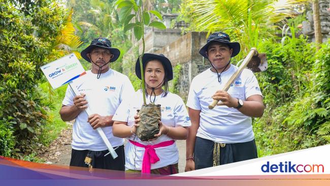 Program BRI Menanam Jadi Komitmen BRI dalam Dukung Pelestarian Lingkungan