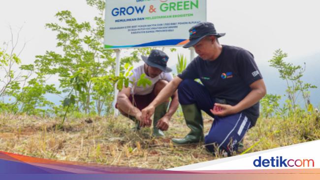 BRI Tanam 5.000 Bibit Pohon Produktif di Desa Kutuh Bali