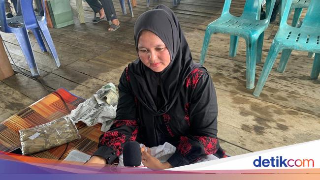 Melihat Budidaya Mangrove di Sumut, Jadi Tempat Edukasi hingga Hasilkan Batik