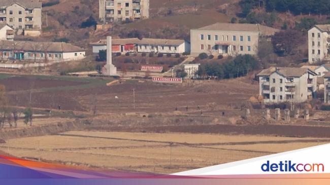 Langka! Coffee Shop di Korea Selatan Ini Punya Pemandangan Desa Korea Utara