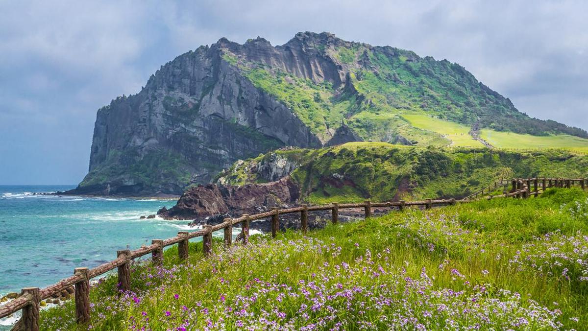Viral di Drakor, Ini Alasan 'Haenyeo' Jeju Kuat Menyelam Tanpa Oksigen