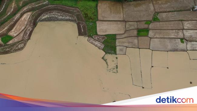 25 Hektare Lahan Persawahan di Kabupaten Serang Terendam Banjir