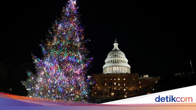 Pohon Natal Capitol dari Alaska Menerangi Washington DC