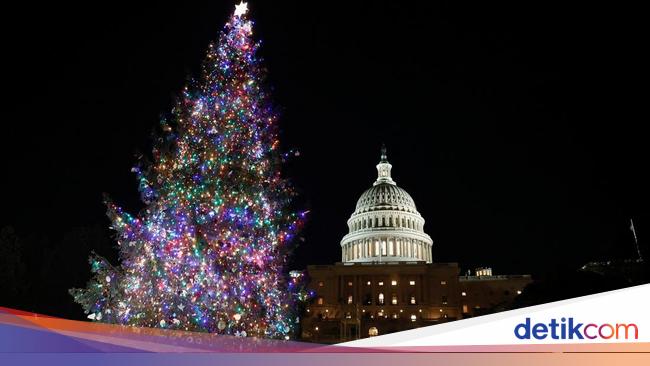 Pohon Natal Raksasa Mulai Hiasi Gedung Capitol AS