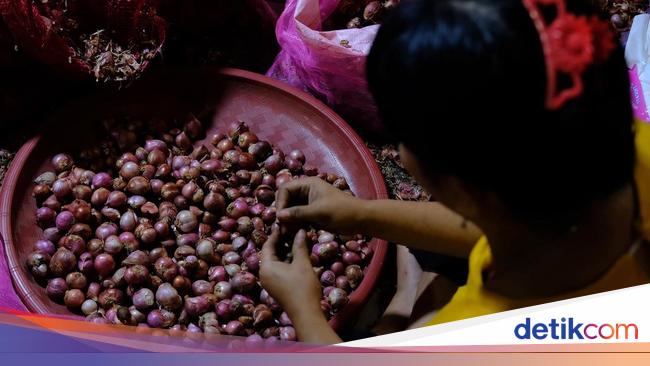 Potret Jasa Kupas Kulit Bawang, Dibayar Rp 15 Ribu/Karung
