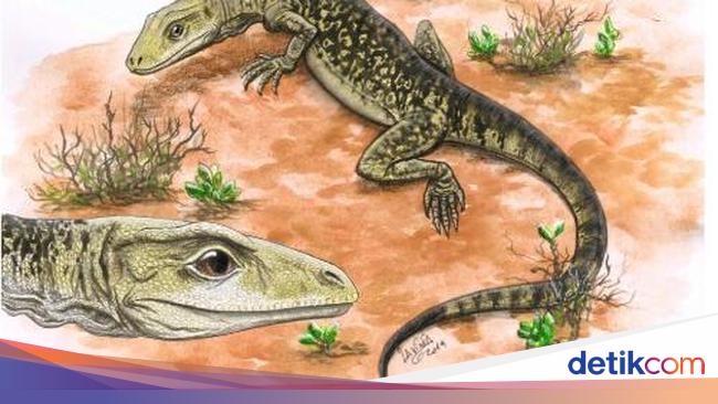 205-Million-Year-Old Lizard Fossil Unearthed in [City Name]