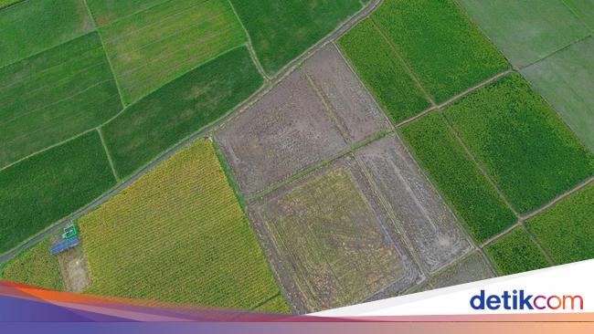 Pascatambang untuk Ketahanan Pangan, Air, dan Energi