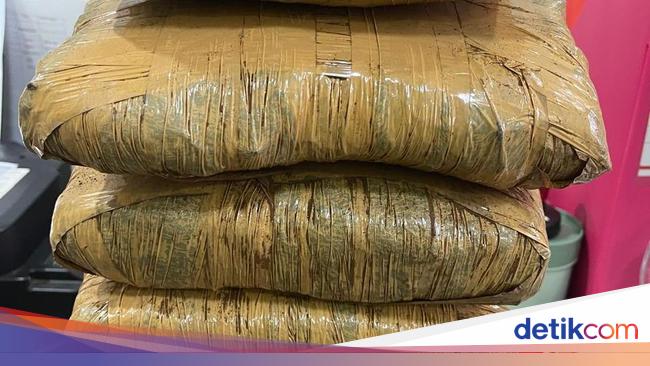 Driver Ojol di Bogor Ditangkap Saat Ambil Ganja 5,2 Kg dari Gerobak Mi Ayam