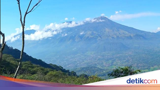 Gunung Bekel Mojokerto: Menyatu dengan Alam di Puncak yang Memukau
