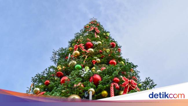 9 Fakta Unik dan Menarik tentang Tradisi Pohon Natal