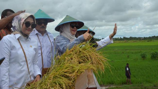 Langkah Legislator Gerindra Dukung Swasembada Pangan di Merauke