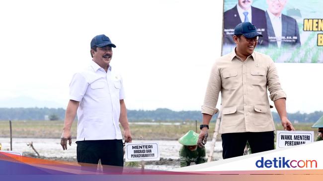 Kunker ke Blora, Menteri Agus Tanam Padi Serentak hingga Ziarah Makam Orang Tua