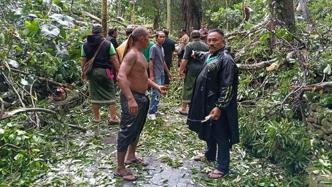 3 Turis Asing Tertimpa Pohon Tumbang di Monkey Forest Ubud, 2 Tewas