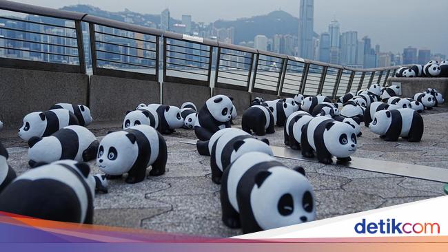 2.500 Patung Panda Menggemaskan Hiasi Hong Kong