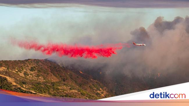 Kebakaran Hutan di Malibu California Merembet ke Rumah Warga