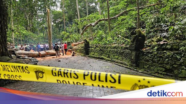 Bencana Hantui Bali Jelang Libur Nataru, Alih Fungsi Lahan Jadi Sorotan